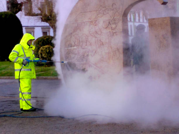 Best Exterior Home Cleaning  in Warren, MN