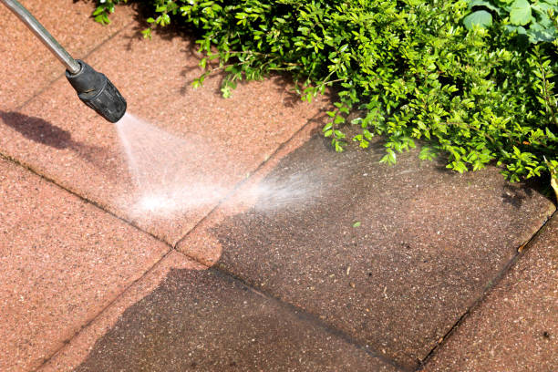 Best Commercial Pressure Washing  in Warren, MN